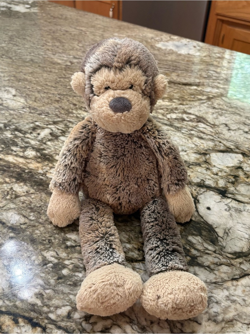 Jellycat Puddle Monkey 14"